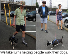 交代で犬の散歩のアルバイト